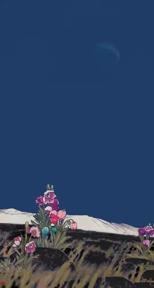 10351027651563628_28.jpg