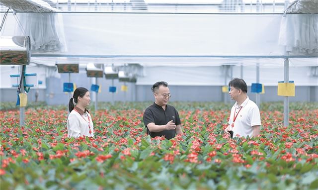 深度关注 | 监督触角延伸到村庄里巷